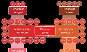 Сколько в русском языке гласных и согласных звуков